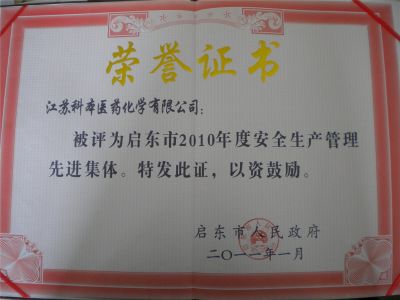 2010安全生產(chǎn)先進集體